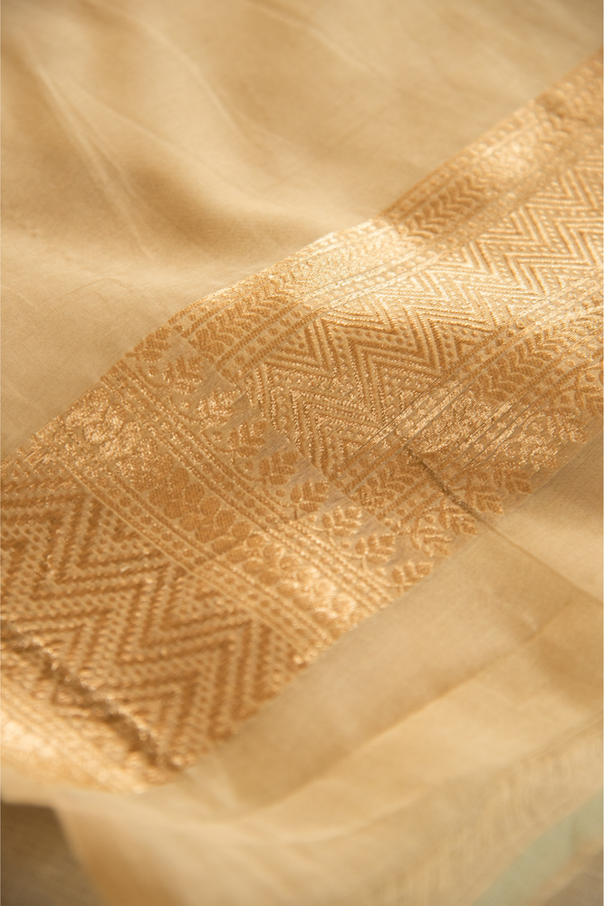 
                  
                    Silk Cotton Saree
                  
                