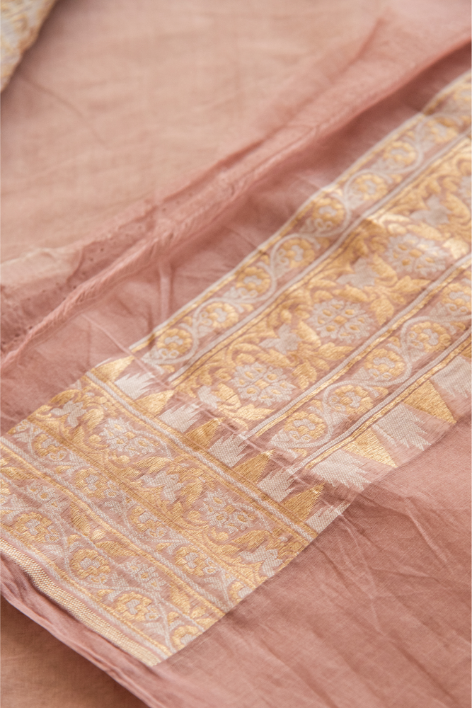 
                  
                    Silk Cotton Saree
                  
                