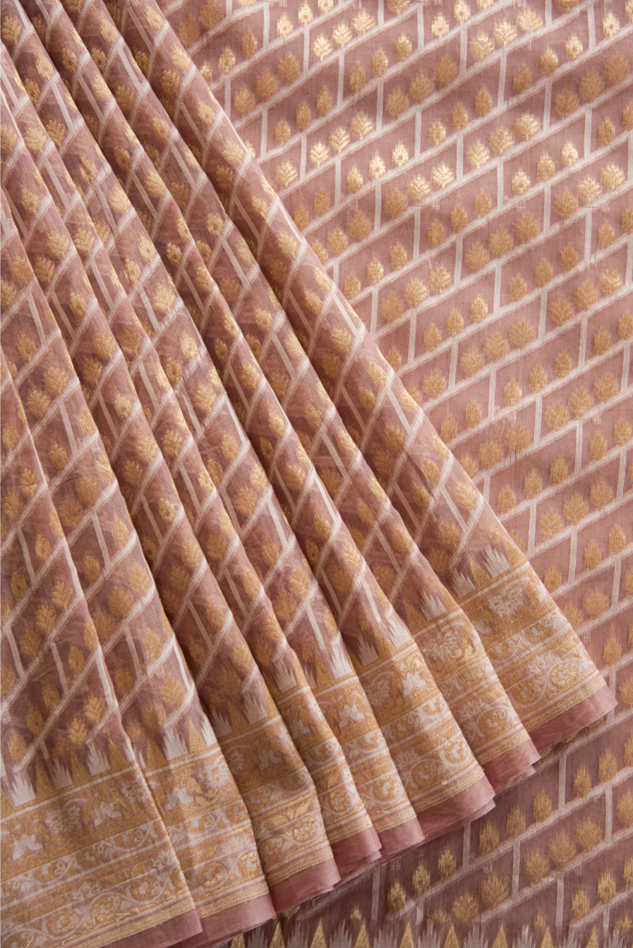 Silk Cotton Saree