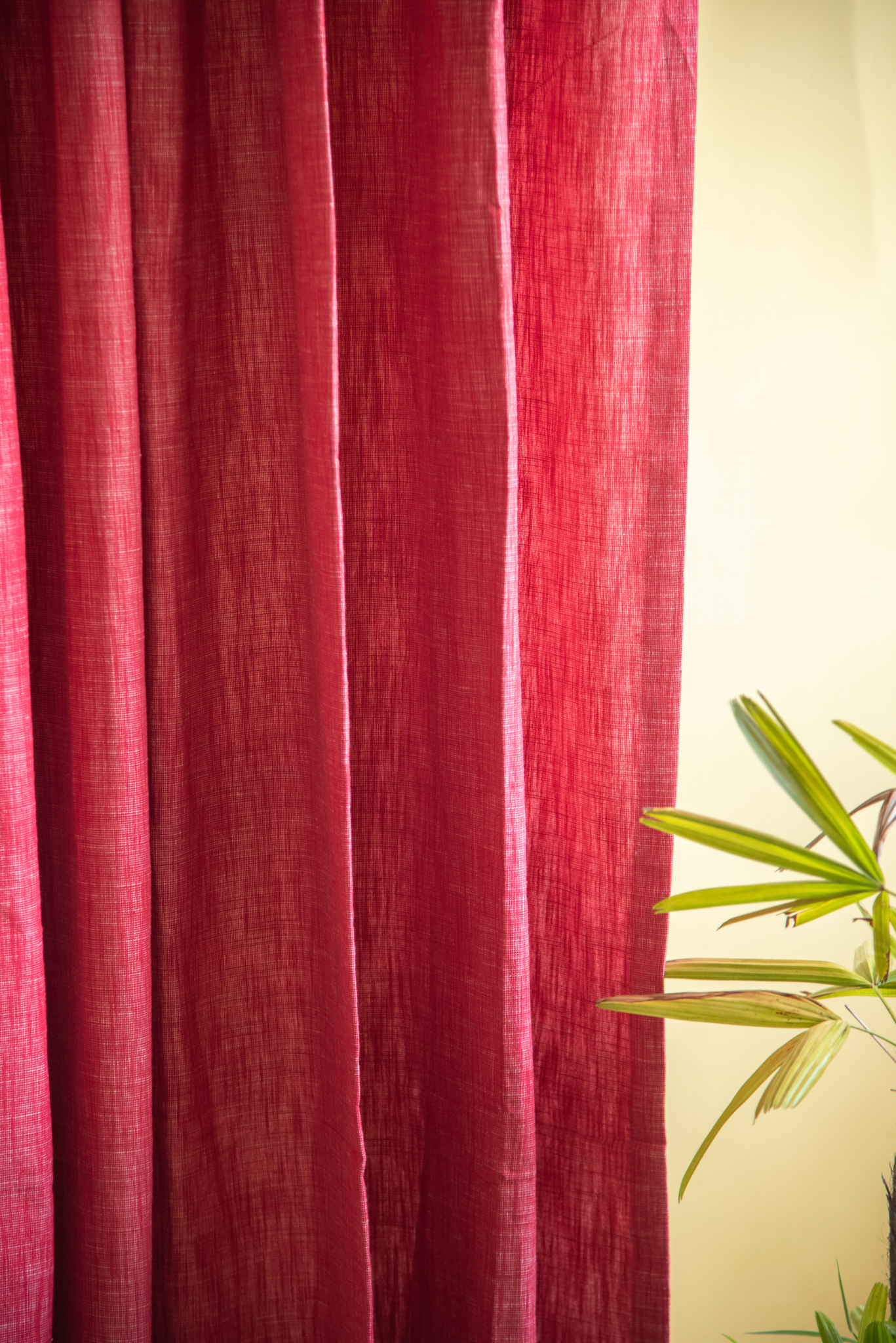 
                  
                    Cotton Curtain Red Door
                  
                