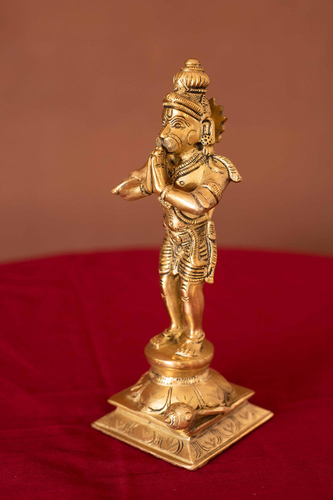 
                  
                    Brass Hanuman
                  
                