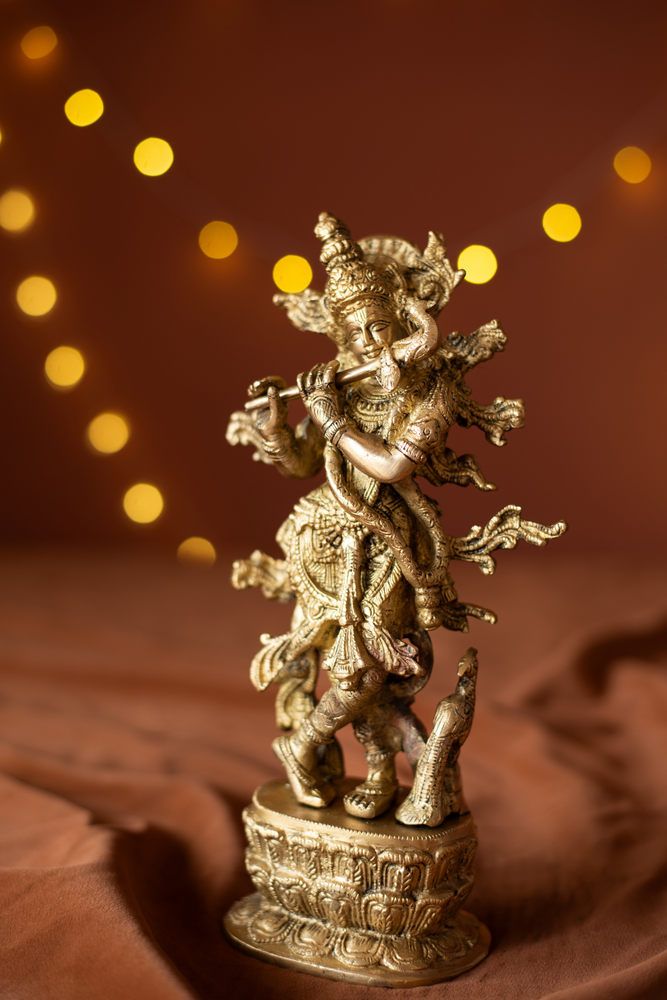 
                  
                    Brass Krishna Standing
                  
                