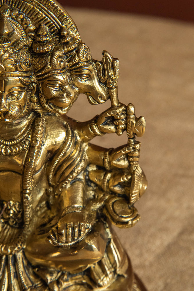 
                  
                    BRASS WHITE GOLD PANCHNUKHI HANUMAN
                  
                