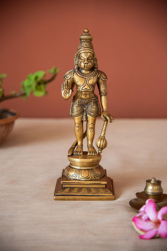 
                  
                    Brass Hanuman Standing
                  
                