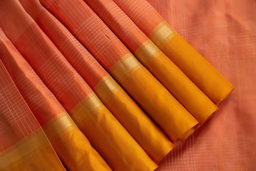 
                  
                    Soft Silk Sari
                  
                