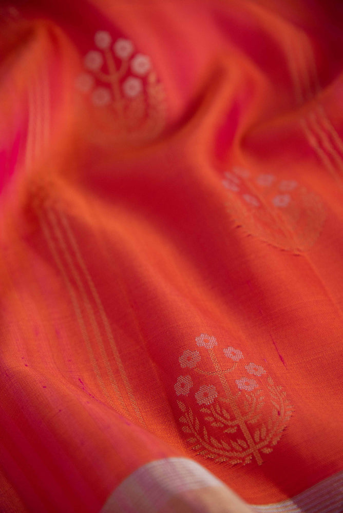 
                  
                    Kanchi Soft Silk
                  
                