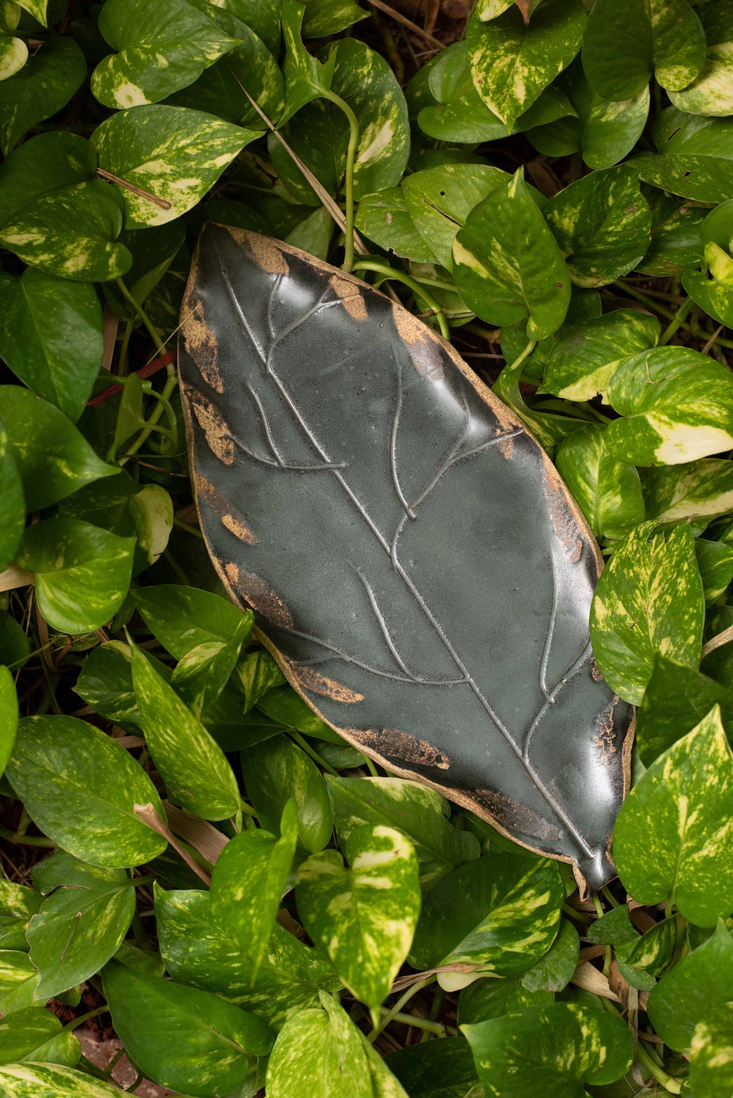 
                  
                    Ceramic Platter - Leaf
                  
                